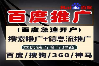 行业领先企业的sem竞价策略：成功案例剖析